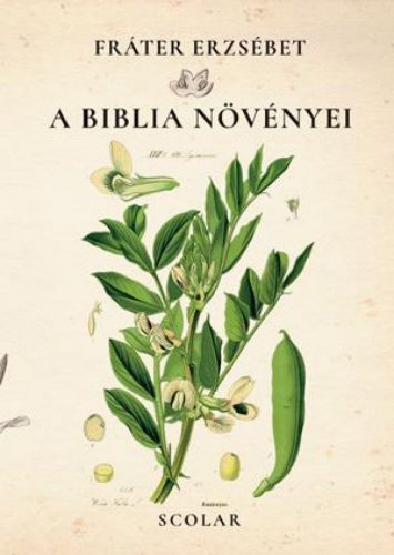 A Biblia növényei