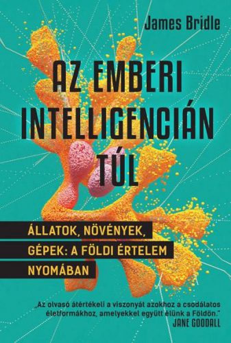 Az emberi intelligencián túl - Állatok, növények, gépek: a földi értelem nyomában