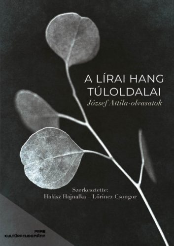 A lírai hang túloldalai