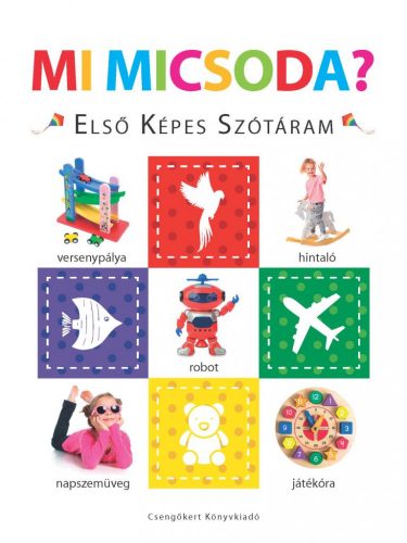 Mi micsoda? – Első képes szótáram