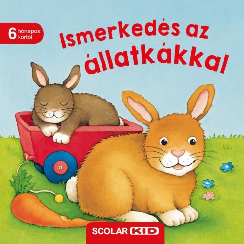 Ismerkedés az állatkákkal